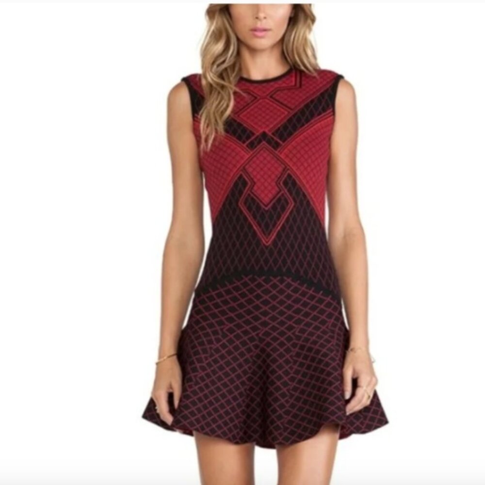 Torn by Ronny Kobo Ruthie Dress Burgundy Mini Revolve Jacquard Small